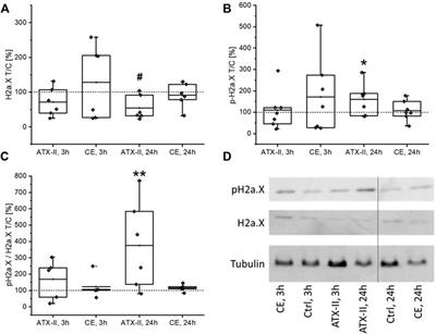 Markers for DNA damage are induced in the rat colon by the Alternaria toxin altertoxin-II, but not a complex extract of cultured Alternaria alternata